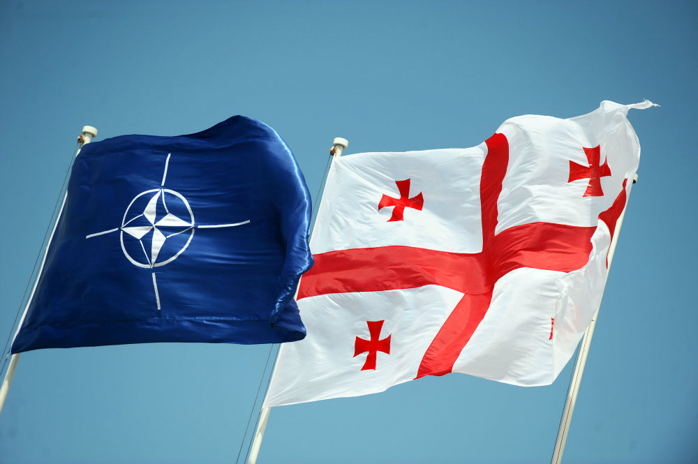 Image result for Georgia NATO
